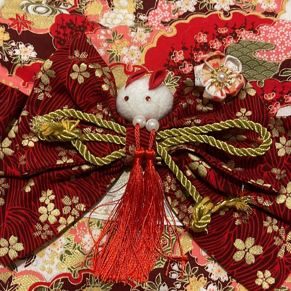 Pet Cloth - Picture 4 of 6